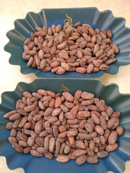 Bolivian Heirloom Volker Lehman TRANQUILIDAD (HCP #2) Unroasted Cacao Beans. Available only in Salisbury, MA. NEW CROP!