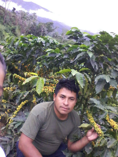 86+ Find: Ruben Caceres -San Ignacio (Bolivia) Microlot Roast. NEW FARMER!