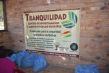 Bolivian Heirloom Volker Lehman TRANQUILIDAD (HCP #2) Unroasted Cacao Beans. Available only in Salisbury, MA. NEW CROP!