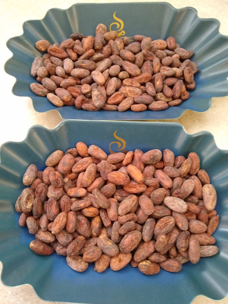 Bolivia Heirloom (Boliviano) Certified-Organic Unroasted Cacao Beans. Available At Continental (NJ) & Salisbury (MA)