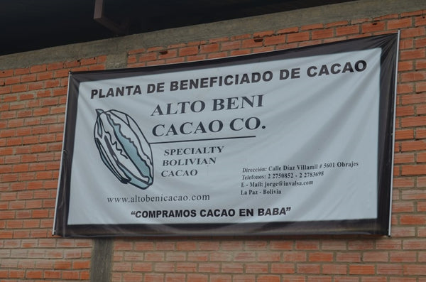 Bolivia Heirloom (Boliviano) Certified-Organic Unroasted Cacao Beans. Available only in Salisbury (MA)