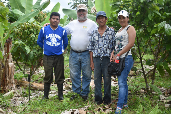 Bolivia certified-Organic Improved Walikeewa (hybrid, Amelonado) Unroasted Cacao Beans. Available at Continental (NJ) & Salisbury, (MA). NEW ARRIVAL!
