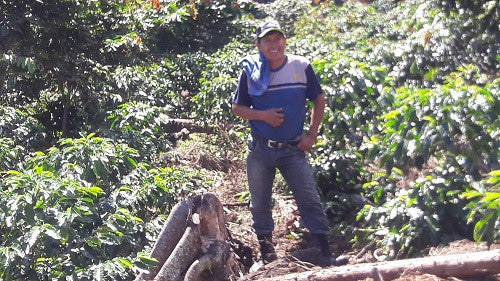 Bolivia Microlot: Jacinto Titirico (Siete Estrellas). Available in NJ & Salisbury. Past Crop. NEW LOWER PRICE!