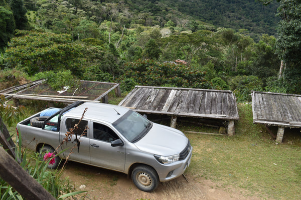 Bolivia Microlot: Jacinto Titirico (Siete Estrellas). Available in NJ & Salisbury. Past Crop. NEW LOWER PRICE!