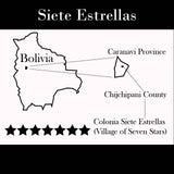 Bolivia Microlot: Carolina Villalobos (Siete Estrellas). Available at the Annex (CA), Continental (NJ) and Salisbury, MA.