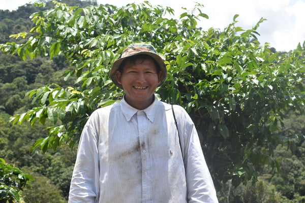 Bolivia Microlot: Clemente Mamani -Kantutani. Available in NJ in Salisbury, MA. NEW FARMER!