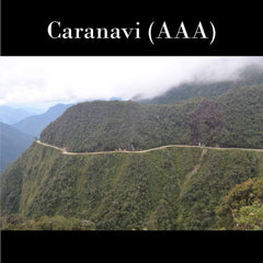 Bolivia FTO (AAA) (Caranavi) Available at CTI (NJ) and Salisbury, MA.  NEW ARRIVAL!