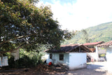 86+ Find: Marco Lasso (Colombia) Microlot Roast. NEW ARRIVAL!